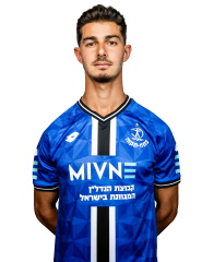 נועם גיסין