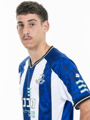 רועי דוד
