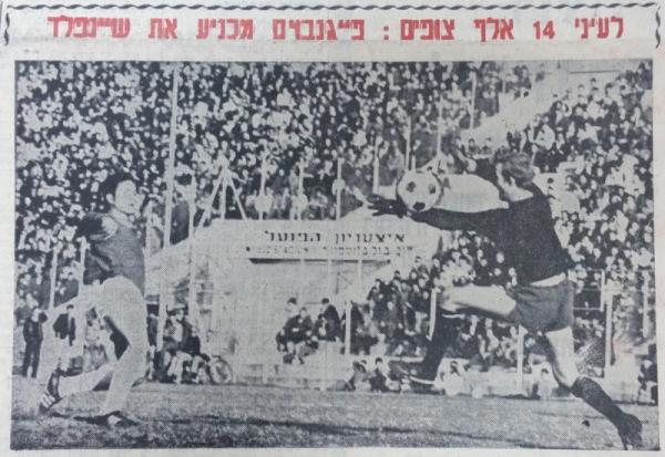 שייע פייגנבוים מכניע את מיקי שינפלד בבלומפילד