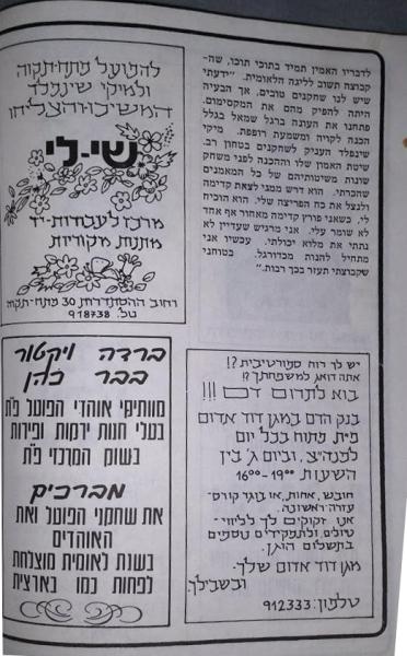 חוברת העלייה, עונת 1978/79 - יחיאל סאלם (המשך)
