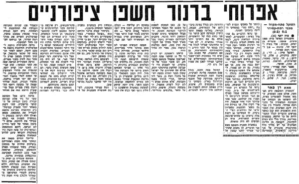 גביע - סיבוב ח' - מכבי רמת-עמידר (0:1) - סיקור המשחק בחדשות הספורט