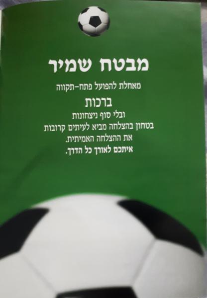 מתוך תוכניית המשחק
