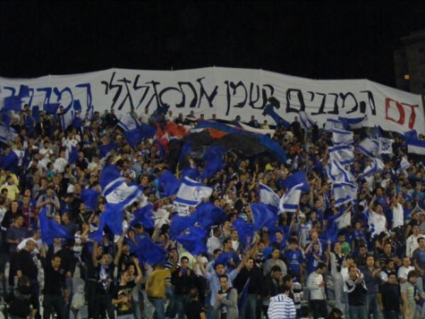 תצוגת קהל בבטון